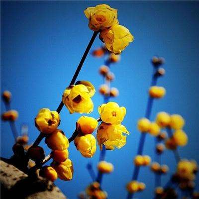 星空体育appapp下载