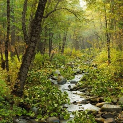 易火棋牌app下载