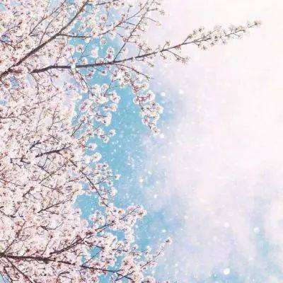 易倍手机app下载