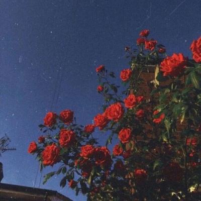 NG南宫28官网登录