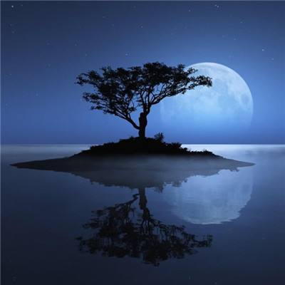 NG体育APP官方下载网址